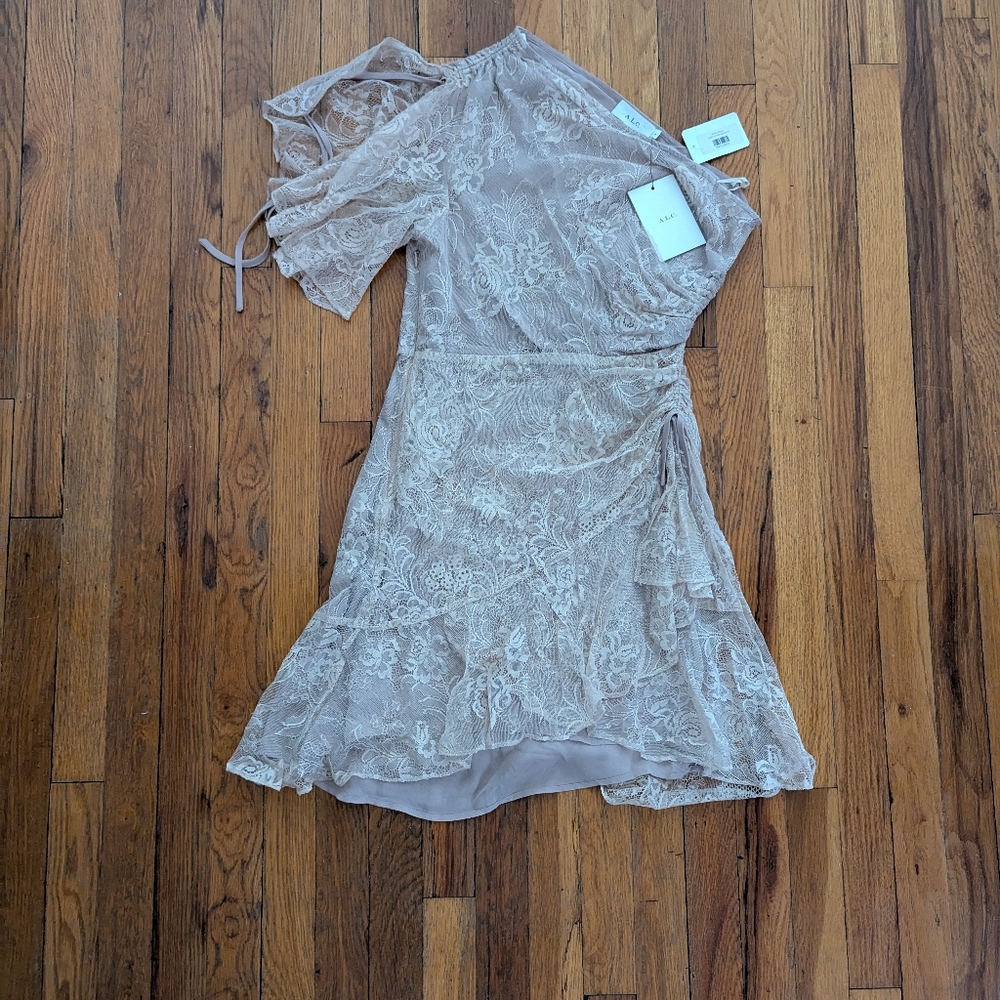 A.L.C. One Shoulder Misha Lace Dress In Blush